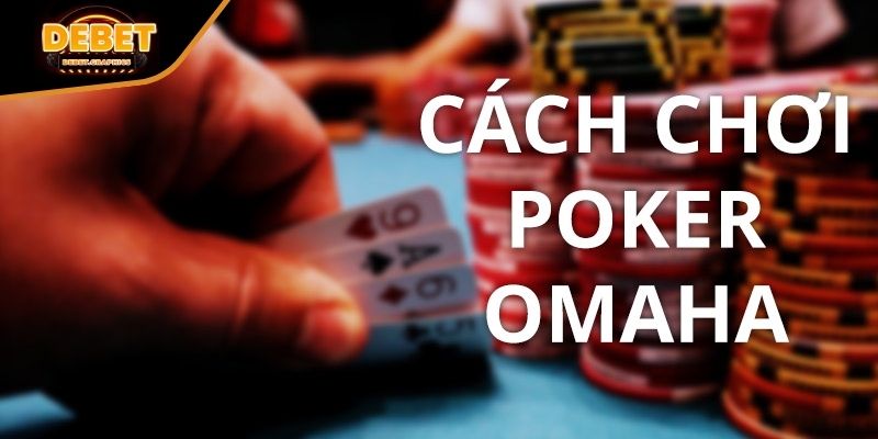 Hướng dẫn chi tiết cách chơi Poker Omaha theo từng vòng cược